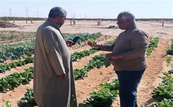 "بحوث الصحراء" يواصل مبادرة "اسأل واستشير" لدعم التجمعات الزراعية بسيناء