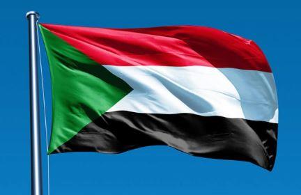 القمة الأفريقية تؤكد رفض تهجير الفلسطينيين وتدعو للحوار في السودان