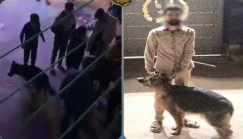 كشف ملابسات فيديو ترويع المواطنين بكلب في الإسكندرية