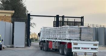  الهلال الأحمر المصري يدفع بأكثر من 250 ألف سلة غذائية عبر «زاد العزة» لأشقاء الفلسطينيين 