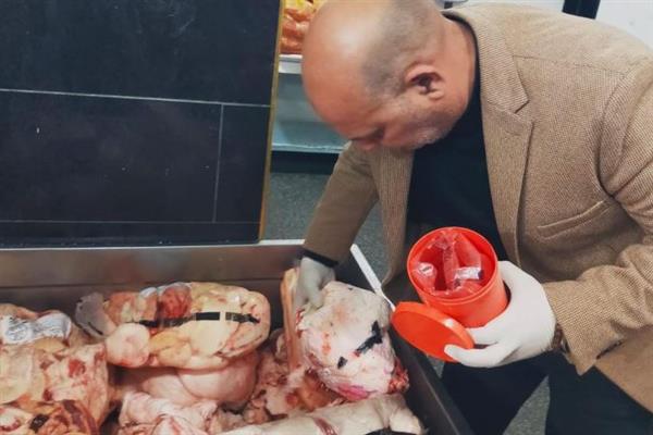 بتوجيهات المحافظ.. «بيطري القليوبية» يضبط طنًا ونصف لحوم فاسدة بالخانكة