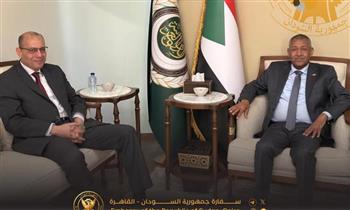   عبدالعاطي: لن نسمح بتفكك السودان.. وأمنه يمس الأمن القومي المصري مباشرة