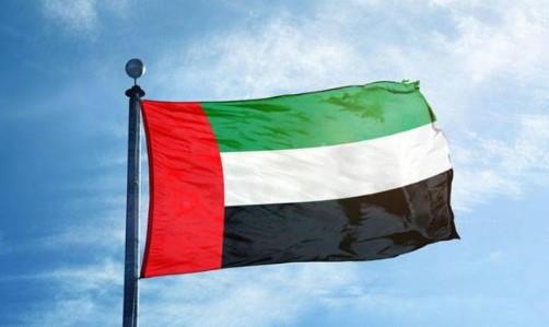الإمارات: نعلن تقديم 1.2 مليار دولار دعمًا لـ غزة من خلال مجلس السلام