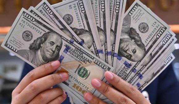 الدولار ثابت.. حركة سعرية هادئة اليوم
