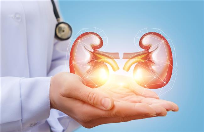 6 عادات يومية تضر صحة الكلى في الشتاء