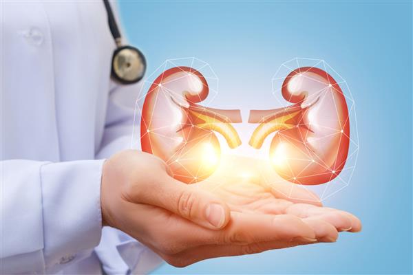 6 عادات يومية تضر صحة الكلى في الشتاء