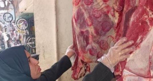 حملات تفتيشية على محلات الجزارة ومنافذ بيع اللحوم والأسماك بأسوان