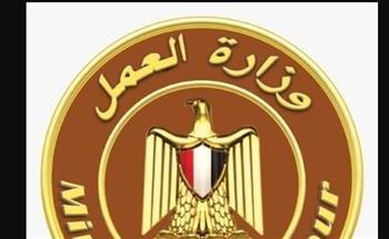   وزارة العمل تُحذّر المواطنين من التفاعل مع صفحات وهمية تدّعي تسجيل بيانات العمالة غير المنتظمة