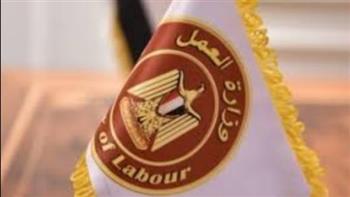   وزير العمل يشكر مستشار الوزير للسلامة والصحة المهنية على فترة عمله بالوزارة 