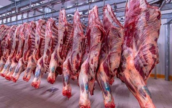 استقرار أسعار اللحوم بالأسواق وسط تزايد المعروض