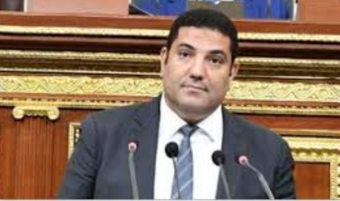برلماني: قمة الرئيس السيسي وبن سلمان خطوة إستراتيجية مهمة نحو تعزيز التنسيق العربي