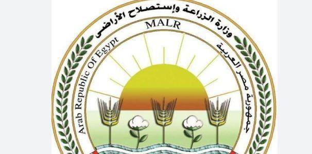 الزراعة: وقف موظفة بزراعة الغربية عن العمل وإحالتها إلى التحقيق لتعديها على زميل لها