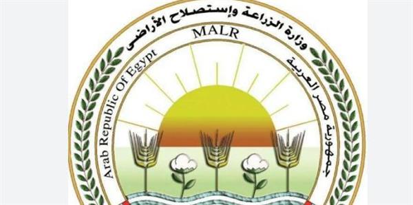 الزراعة: وقف موظفة بزراعة الغربية عن العمل وإحالتها إلى التحقيق لتعديها على زميل لها
