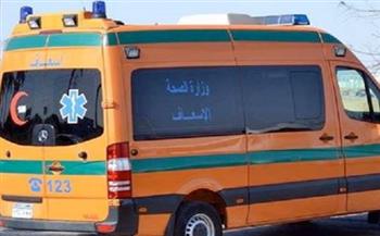   تصادم سيارة نصف نقل وملاكي على كوبري الحضارة وإصابة عدد من الركاب