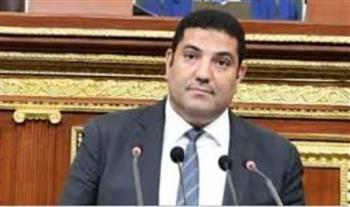   برلماني: قمة الرئيس السيسي وبن سلمان خطوة إستراتيجية مهمة نحو تعزيز التنسيق العربي