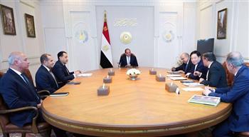 الرئيس السيسي يبحث مع رئيس "GCL" الصينية توطين صناعة الطاقة المتجددة في مصر