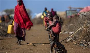   "أطباء السودان": ما يحدث في السودان تجاوز المجاعة إلى الإبادة بكل أشكال العنف