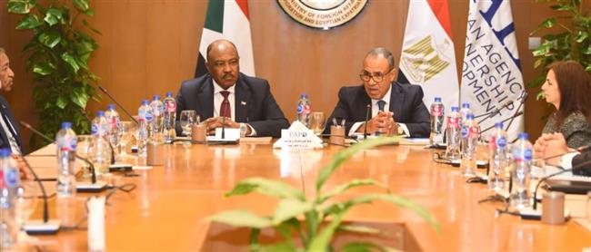 وزيرا الخارجية المصري والسوداني يكرمان الفريق الطبي بالقافلة الطبية للسودان