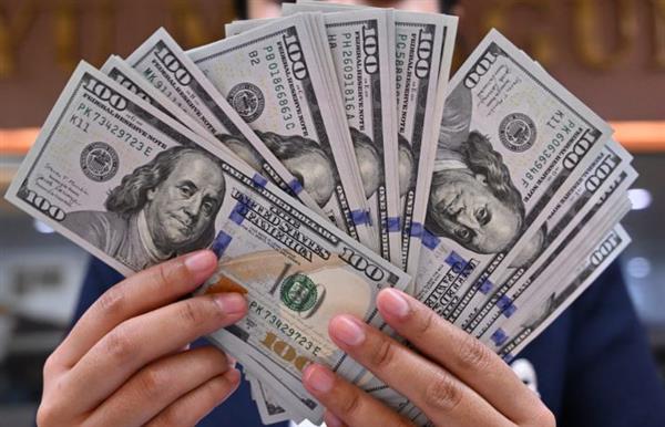 الأخضر يلتزم الهدوء.. سعر الدولار في البنوك المصرية اليوم