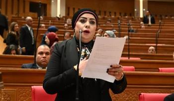   جيهان شاهين تطالب محافظ الإسماعيلية بصيانة إنارة طريق قرية النصر حفاظًا على أرواح المواطنين