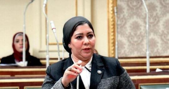 شيماء نبيه: نحتاج توزيع عادل للمنح وهناك مناطق في محافظة الدقهلية تستحق