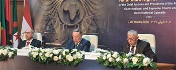   رئيس الدستورية العليا: مصر حريصة على نقل خبراتها الدستورية إلى الأشقاء الأفارقة