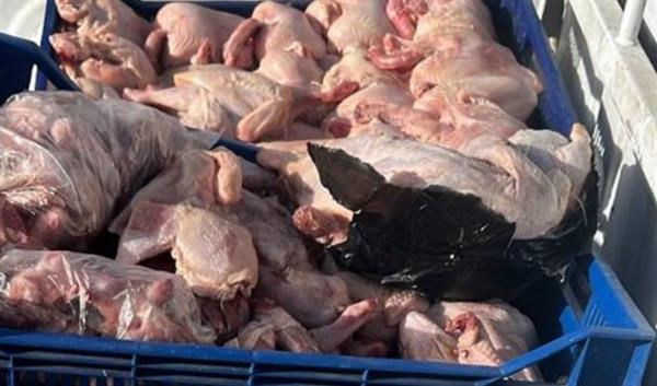 محافظة الجيزة تضبط 26 طنًا من مصنعات ومقطعات اللحوم وهياكل الدواجن الفاسدة
