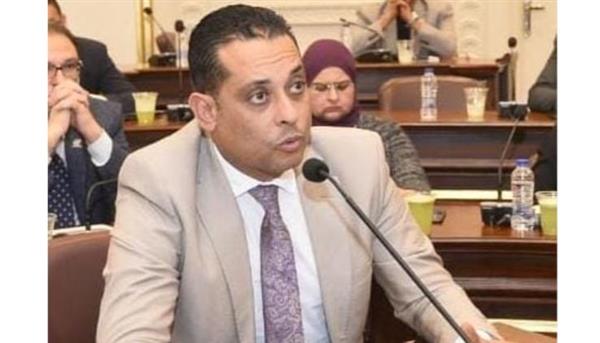 نشأت: الإعلان المشترك لقمة السيسي وأردوغان يعكس شراكة استراتيجية شاملة بين البلدين