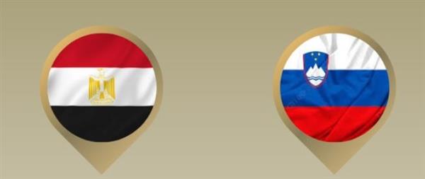 وزير الخارجية يبحث استقرار غزة في ليوبليانا