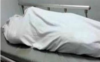   مصرع مسن صدمته سيارة فى نجع حمادى بقنا