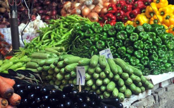تفريزات رمضان… الطريقة الصحيحة للحفاظ على القيمة الغذائية للخضروات المجمدة