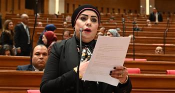 شاهين: تحذيرات الرئيس السيسي رسالة واضحة لضرورة احترام سيادة الدول