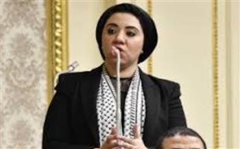   النائبة أميرة صابر تدافع عن اقتراح التبرع بالجلد