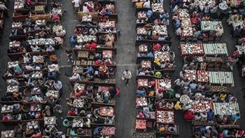 محافظ البحر الأحمر: تنظيم إفطارات جماعية للفئات الأولى بالرعاية