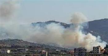 جيش الاحتلال: استهدفنا عنصرا من حزب الله في بلدة يانوح جنوب لبنان