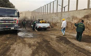   محافظة الجيزة ترفع 1200 طن مخلفات هدم بمحيط المنطقة الأثرية بالهرم