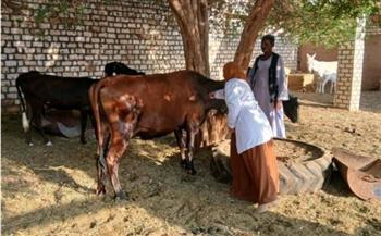 محافظ أسوان يتابع جهود مديرية الطب البيطرى فى متابعة الأسواق