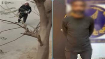   ضبط شخص لارتكابه أفعالًا خادشة للحياء بالطريق العام في مصر الجديدة