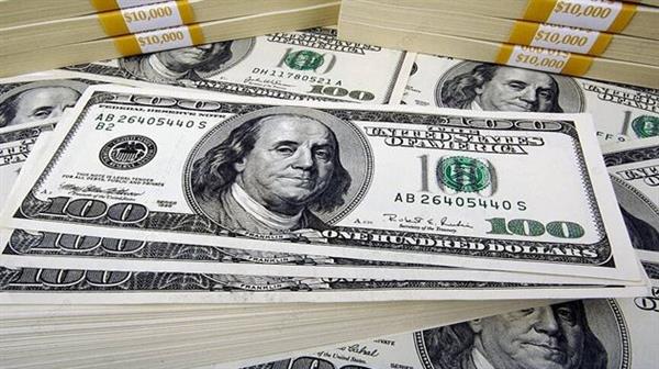 استقرار سعر الدولار في البنوك المصرية