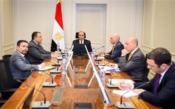 مصر تؤكد تضامنها مع الخليج وتدعو لخفض التصعيد