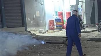 تكثيف حملات مكافحة الحشرات الطائرة بالأقصر للحفاظ على الصحة العامة