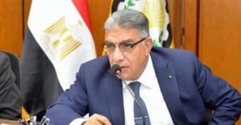   محافظ الدقهلية: سرعة الرياح ساعدت في انتشار حريق مصنع قطع غيار السيارات