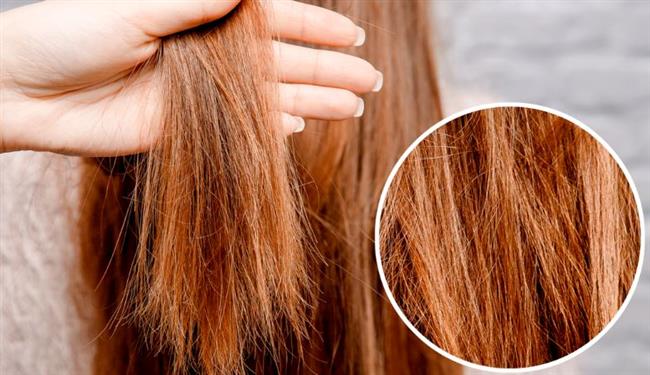 وداعا للشعر الباهت.. 4 خلطات طبيعية سحرية لترطيب الشعر الجاف