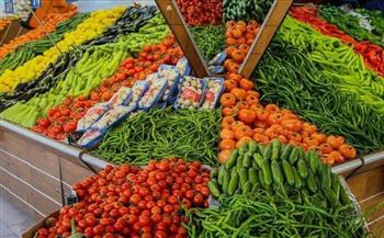   ارتفاع في أسعار خضروات السلاطة بالسوق