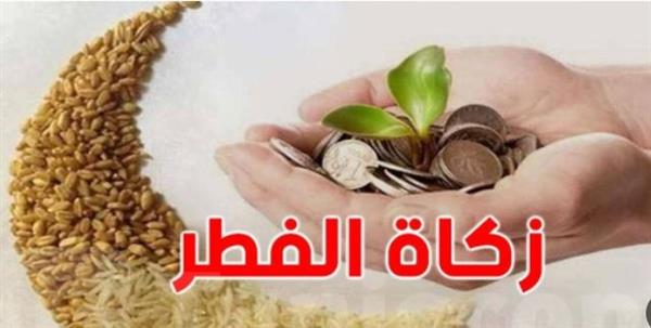 الإفتاء توضح حكم إخراج زكاة الفطر مالا