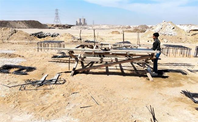 محافظ القاهرة يطلق مشروع شلتر للكلاب الضالة شرق التبين