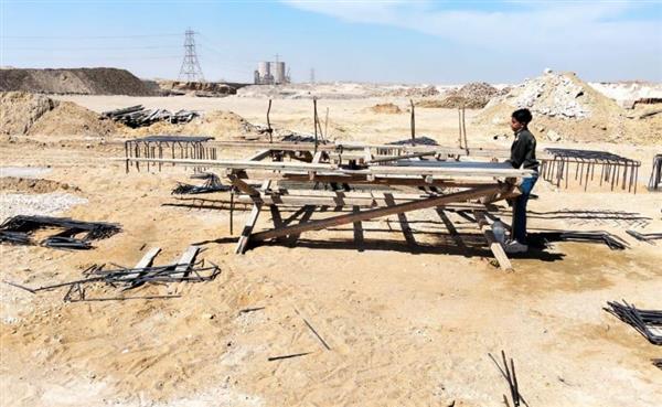 محافظ القاهرة يطلق مشروع شلتر للكلاب الضالة شرق التبين