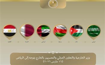 وزير الخارجية يتوجه إلى الرياض لتأكيد تضامن مصر مع المملكة العربية السعودية