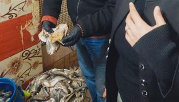   ضبط 1.2 طن أسماك فاسدة بـ "غرب شبرا الخيمة