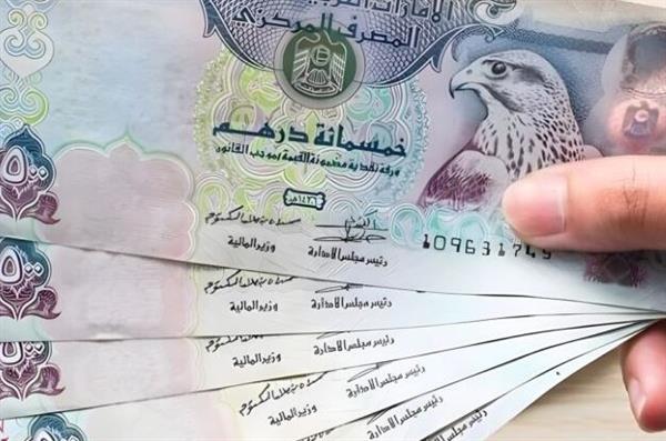 استقرار أم تذبذب؟ آخر أخبار الدرهم الإماراتي اليوم